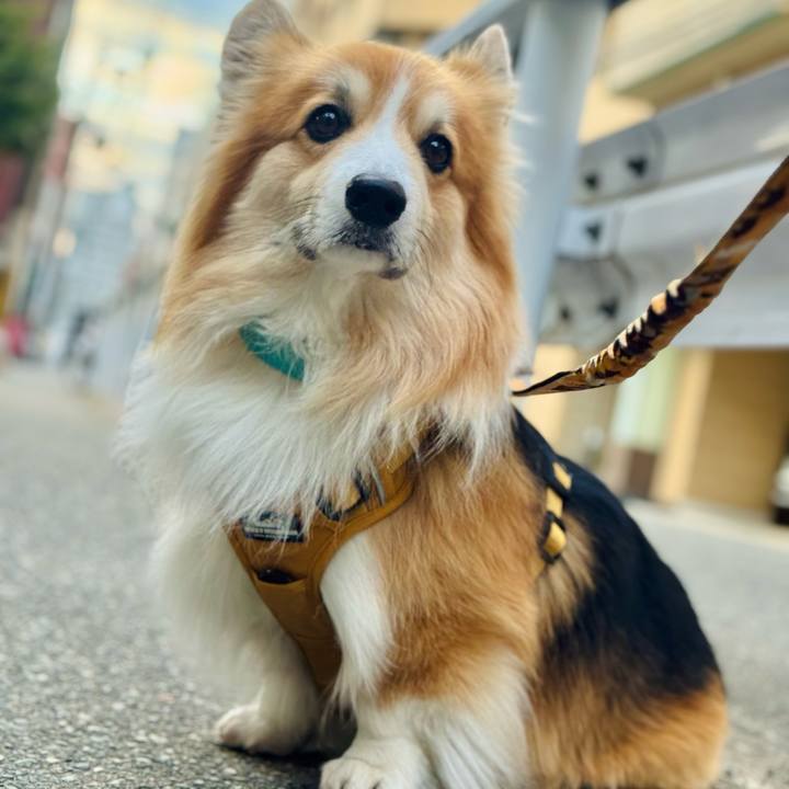 E1acb4e4 a27a 4d1c b62b 25eb74c059b8 1768265940658