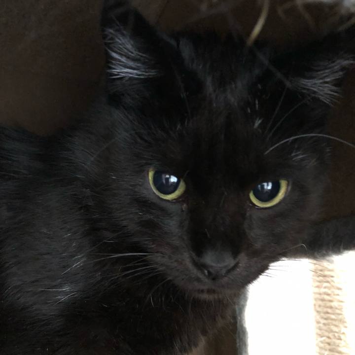 E1acc1ea e5ed 43d4 8050 00fd4521dd39 1593082318352