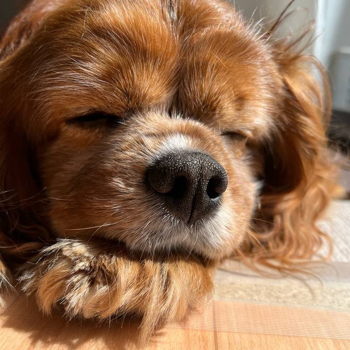 E1ad15ba 05eb 4abf b874 eaa14ffc888a 1743210839444