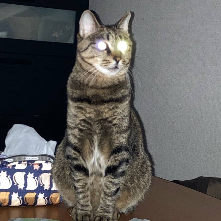 E1adb3f5 3ea8 4460 abf4 f0ea7e25b191 1628325350038