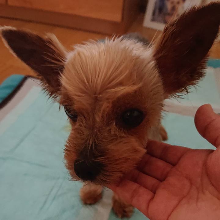 E1adbd64 60bb 4d42 b3e5 721717505eb3 1562382425360