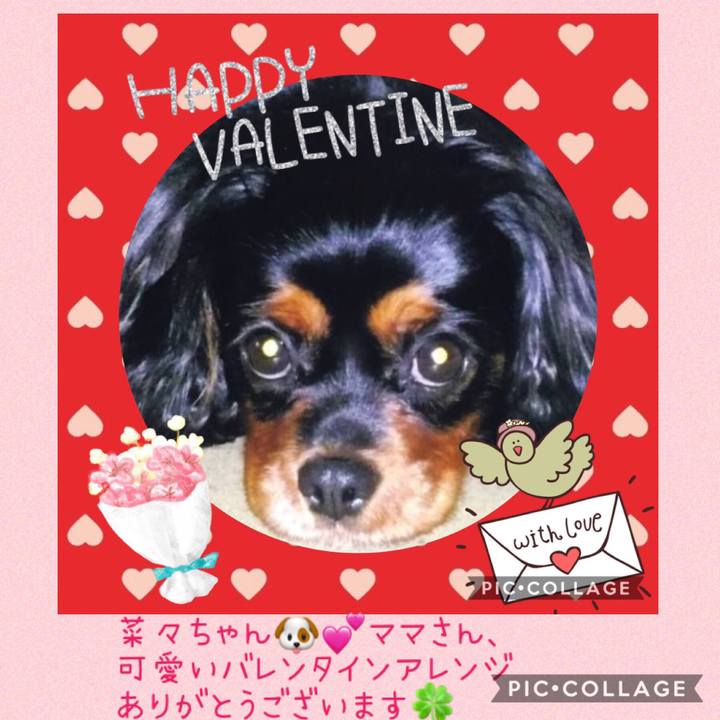 E1adce2f 9df0 4307 a6c8 2470e8452c80 1550122025252