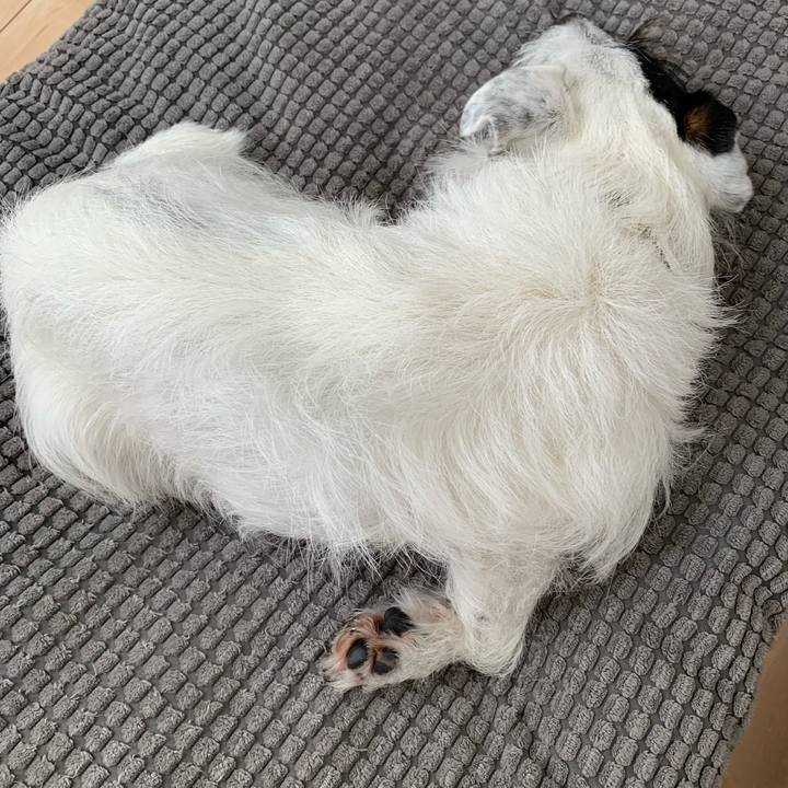 E1add72d 240d 4118 a977 bfde8045f0c4 1559023074069