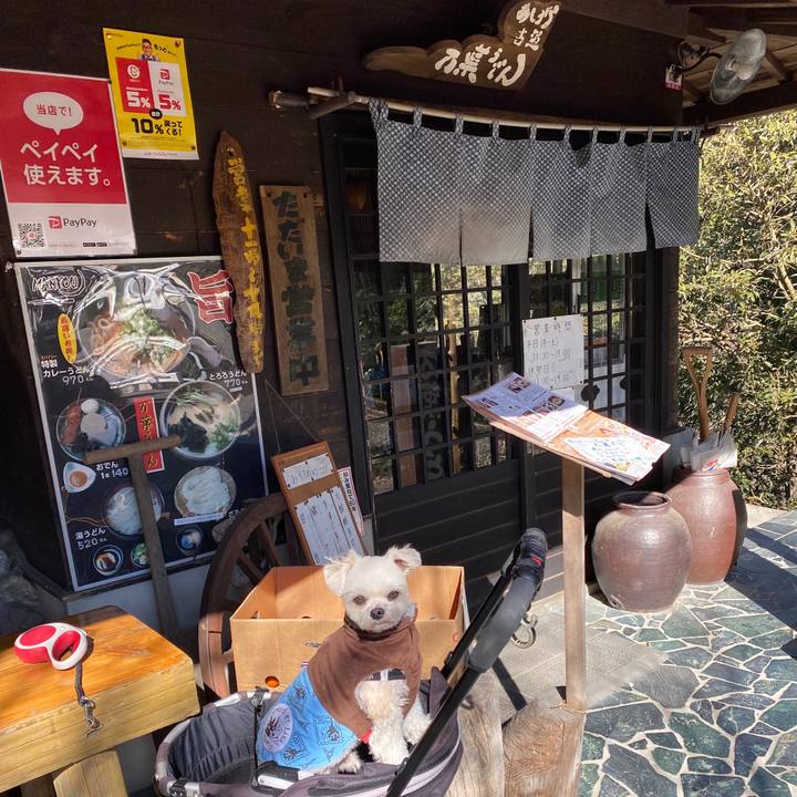 E1add806 4afc 47d5 b55d 0196d7772070 1581407931756