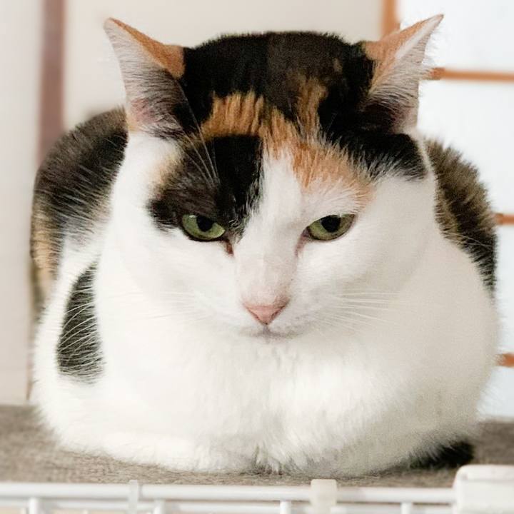 E1adf650 a266 428a 8b8b bd48ea42926b 1574125375820