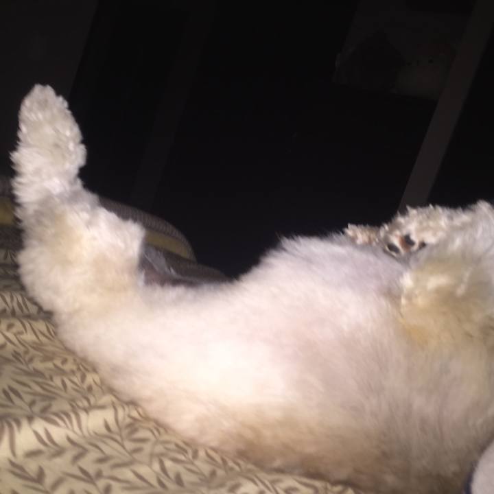 E1ae35a2 34d1 4471 b83f 5aa246efbdeb 1535254829434