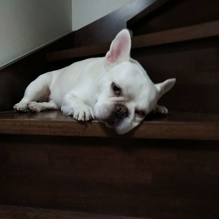 E1ae4baf 5668 4943 b37b a5da3ba662f9 1589198272099