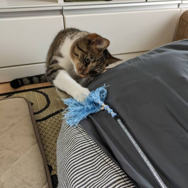 E1ae53bd d758 43dc 8cfb 5792f38e96cc 1692233090692