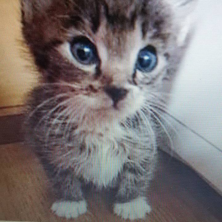 E1ae8b3e f10b 4ed7 bfcf 9e46dbfdd41b 1614438657751