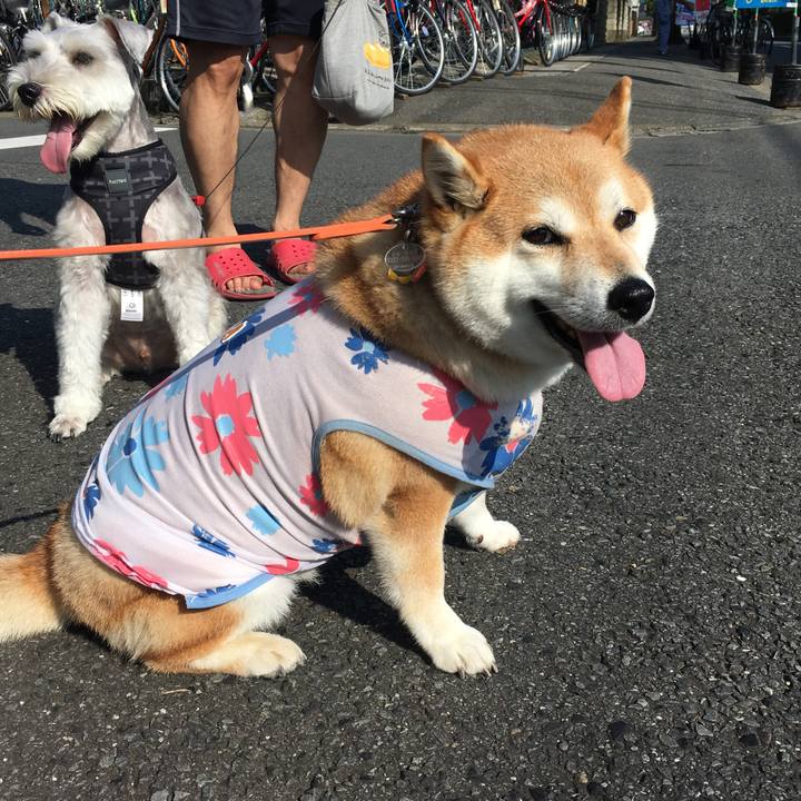 E1ae944f 7e6b 4403 b58c 12acc945a9eb 1564878548272