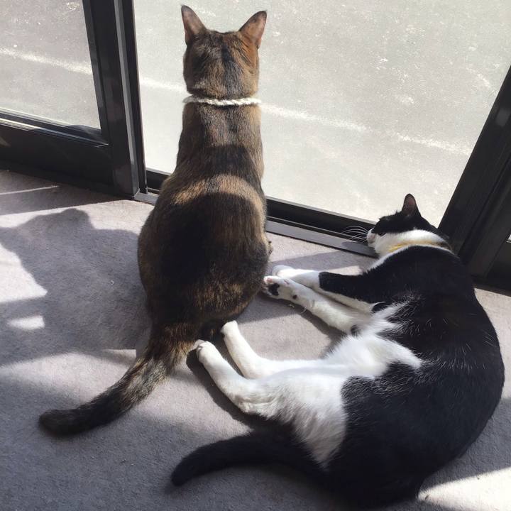 E1ae9549 fe2d 4f3d af76 831bd265fe50 1649396269985