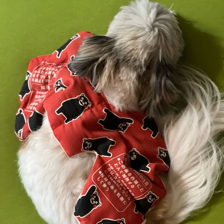 E1aeb778 fc27 42b9 852b 0eff37c6eca0 1639090408056