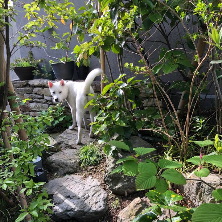 E1aebd51 90b3 440f a67b ee5eb4dda2fc 1555423858700