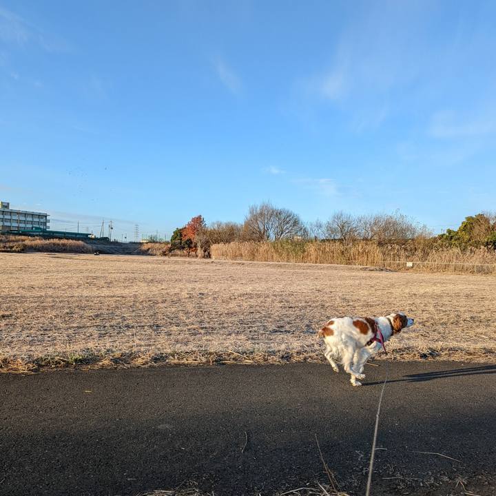 E1aee227 d2b0 41b8 917b 703a2bf5a8a2 1665194979036