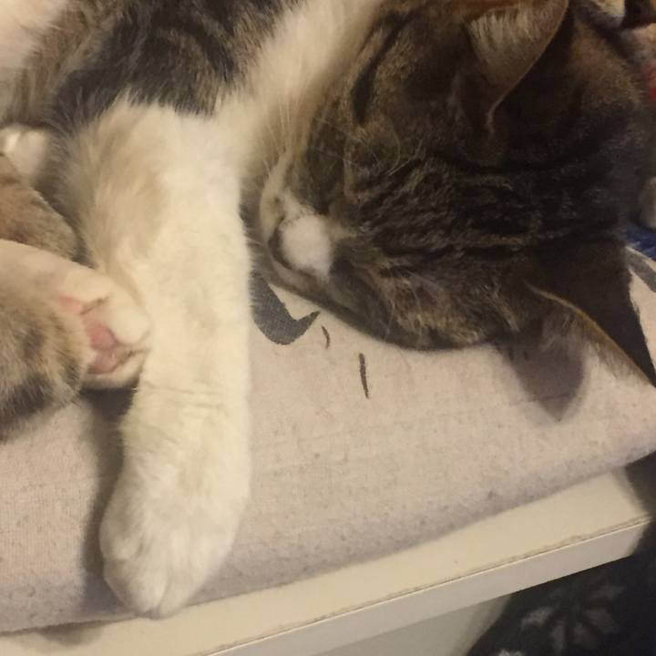 E1aee9d7 659a 4b5a 8394 bb4af5118752 1548948108773