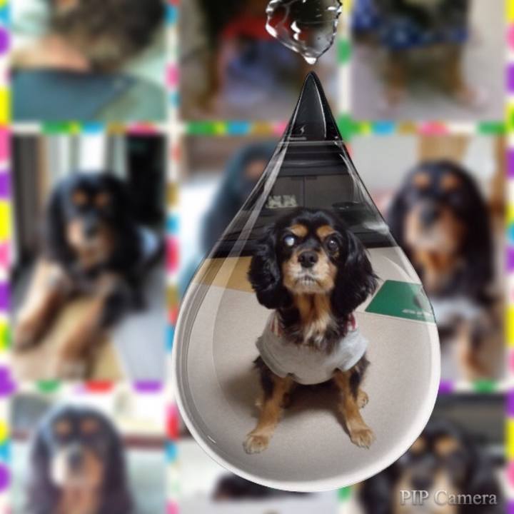 E1af00f1 af09 41b9 a193 10de461dee4a 1510040740789