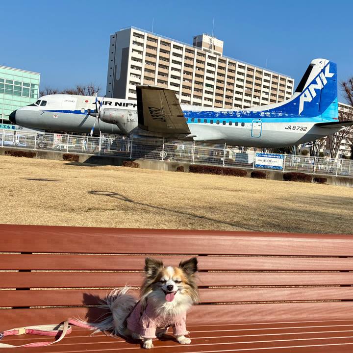 E1af0833 38f4 41bb 99c9 5c03954c67e1 1771851839746