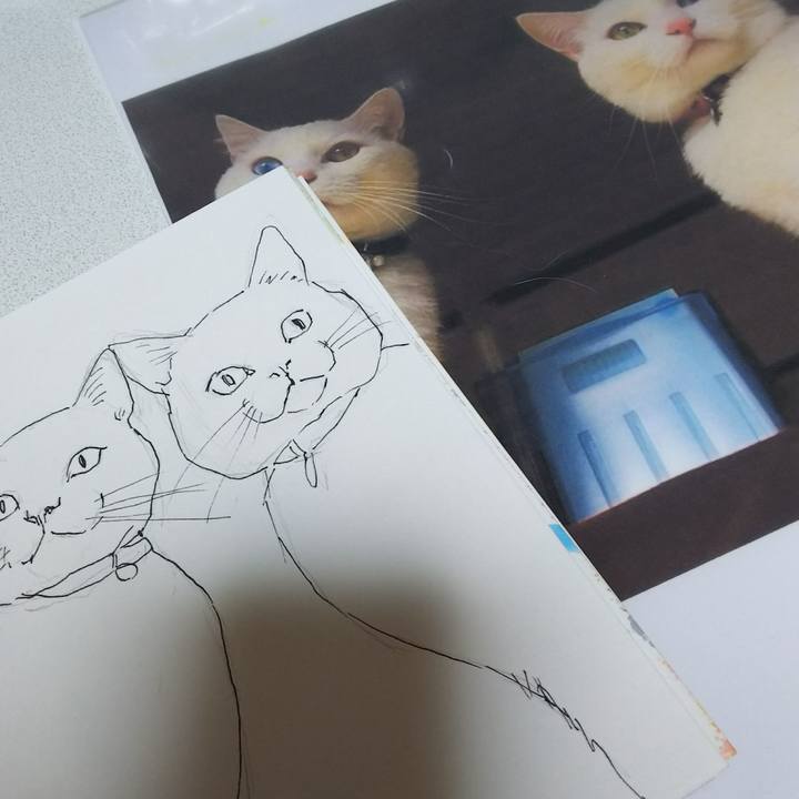 E1af0889 f80e 4156 8389 666bcc44f855 1538225782757