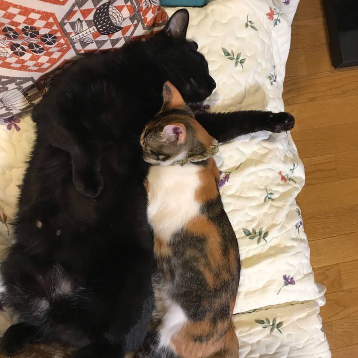 E1af419c e77e 4be6 aa84 321b77bd0891 1602929197990