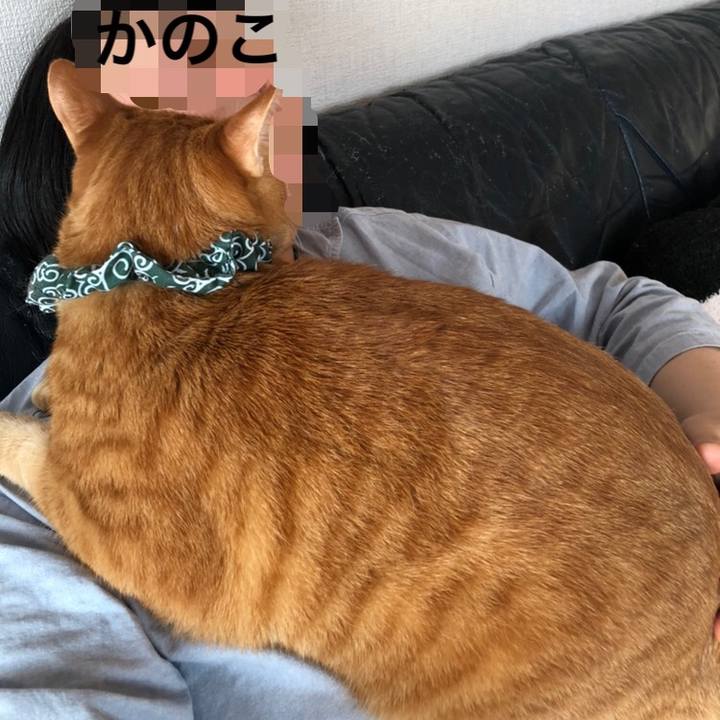 E1af671e 5ffc 4832 99aa 02935bfe4994 1553985206084