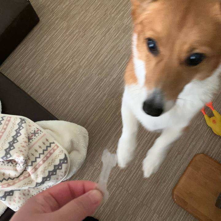 E1af8018 34b6 4bf8 850a 0a43725bb513 1582779169501