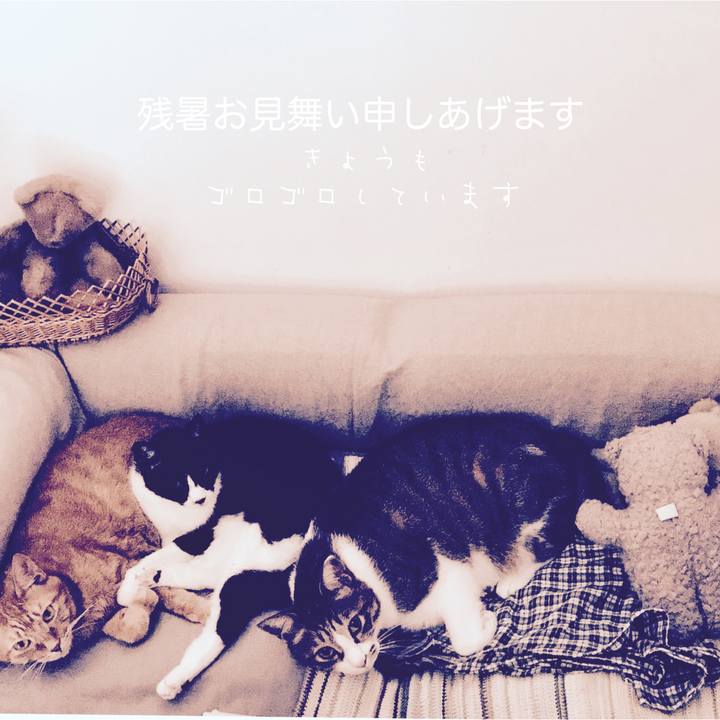 E1afb211 0e7e 43fb 8946 95c180a7f8f4 1533957728610