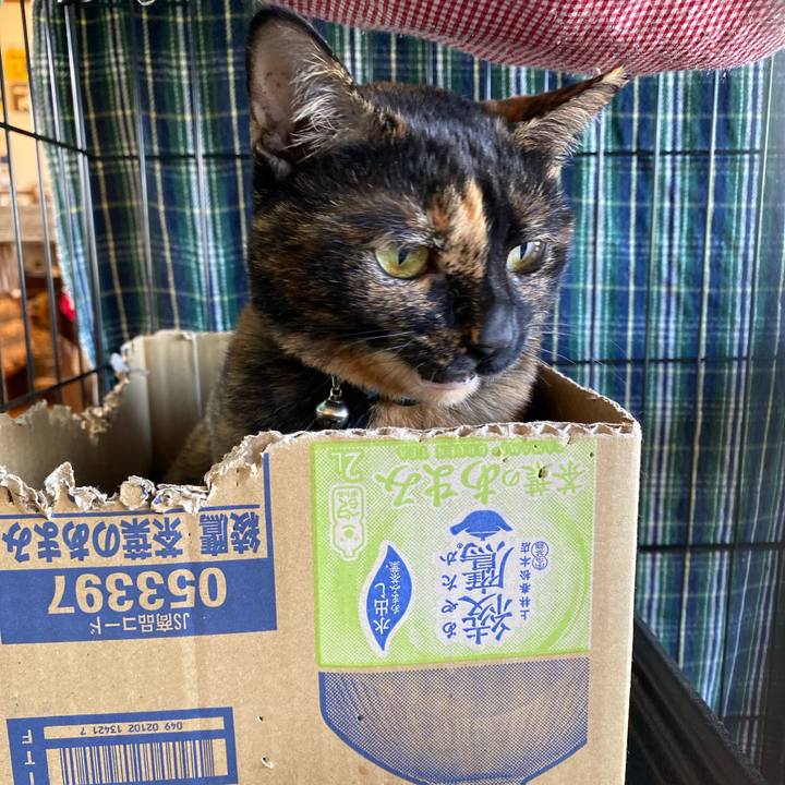 E1afbf45 cf4d 4c48 967d f0bb1684f3b3 1730866280442