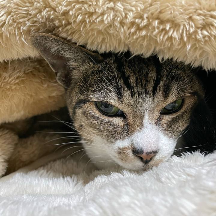 E1afcf1d dabf 46b6 8a80 de399df9421c 1643509769489