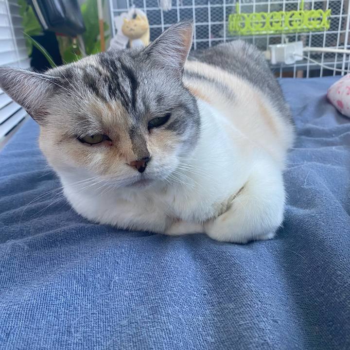 E1afd4fb d514 4f20 9aef 7ba20e2fe4ce 1698973615699