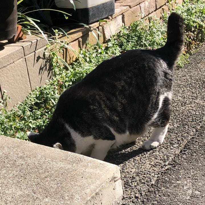 E1b00cff 2181 4707 9530 391c46ebb48b 1576493773193