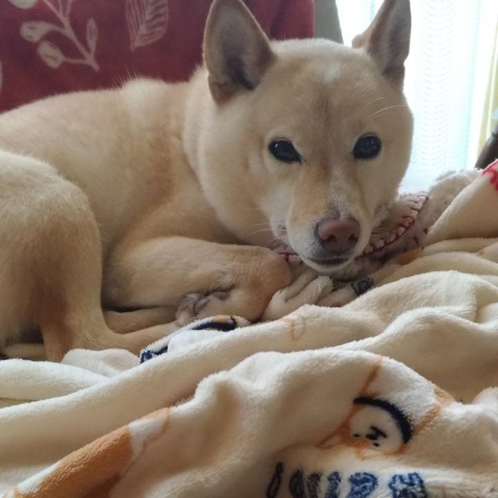 E1b01509 2b13 4a66 a5c0 fe4787e0ee19 1613687280579