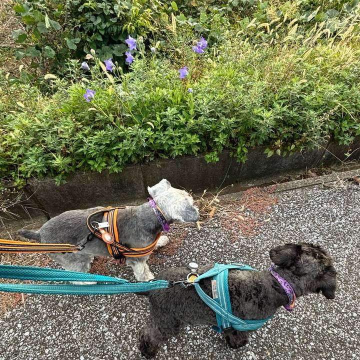 E1b015d8 811e 45b7 a008 d96842ab18fb 1698578681428