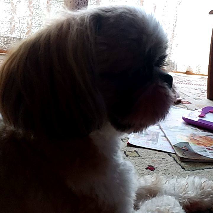 E1b02a61 45ca 4938 9545 eee52ffdc0f5 1597314650224