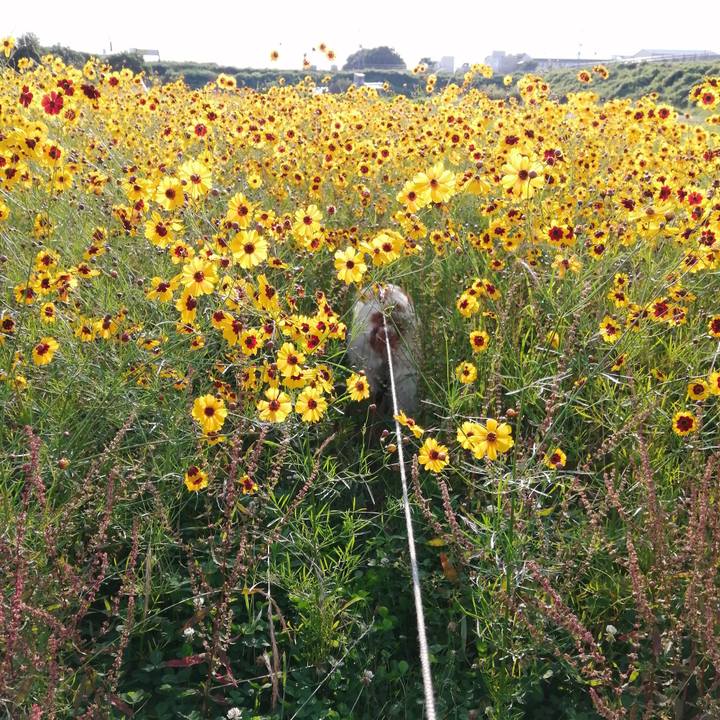 E1b0467e 074f 4835 ace8 dc5e66d4df80 1624449456422