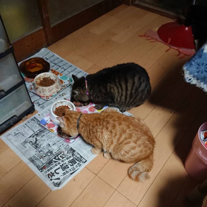 E1b07b0c 7d38 488a 9141 db1724823b8f 1651023704130