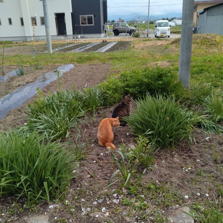 E1b083ae a66e 4aac 86e3 59a651628635 1684572965360