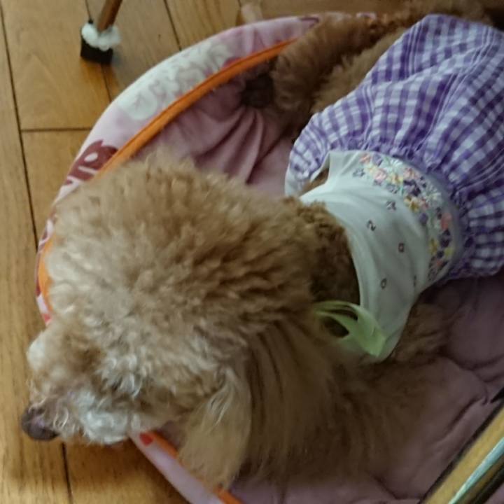 E1b122b2 5b1a 4a7c 9d85 281e84abdf5c 1598704373828