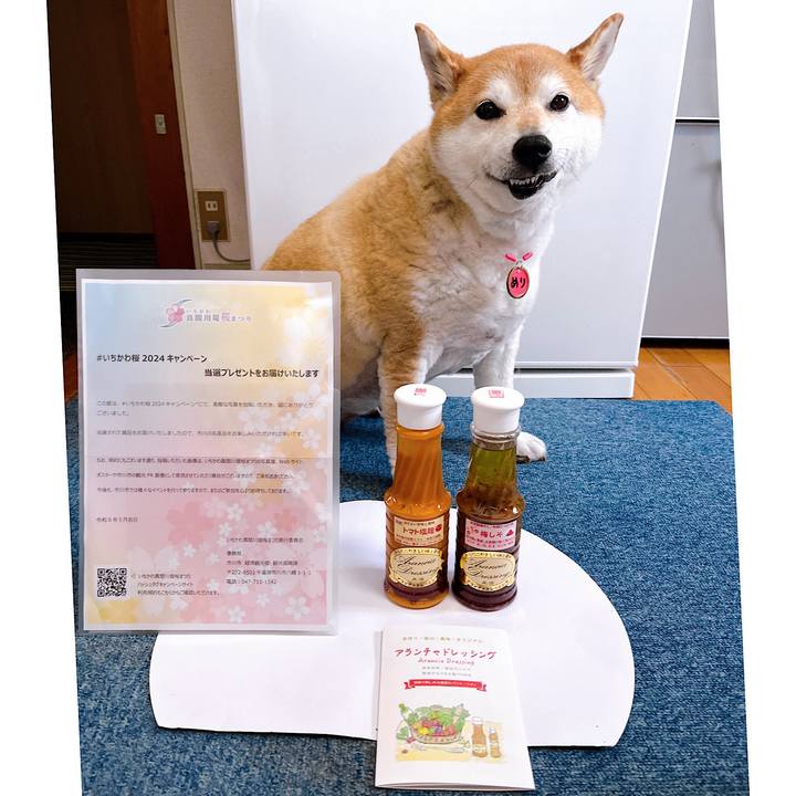 E1b12376 31ad 4230 8254 9c1b63aadb29 1716000431444