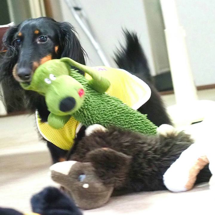 E1b12fe8 d1bf 4c33 9acc 7ea87b136c4f 1533778807792