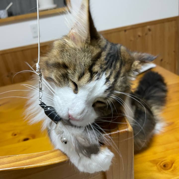 E1b135f2 cf00 46b4 8299 84b351ccfde6 1644094577412