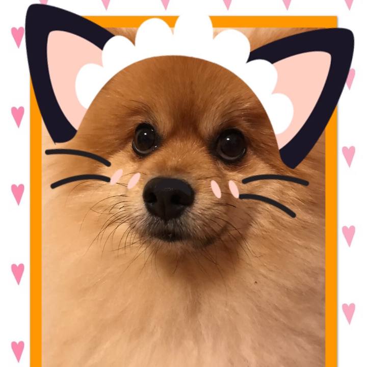 E1b15d6d 2597 4b03 b1c9 a33da9dcd8bb 1508201986359