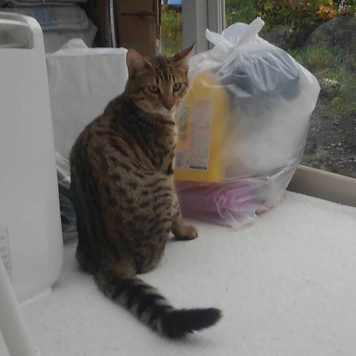 E1b1d73a ac41 4497 b101 2dfc82c60bfe 1570201367999