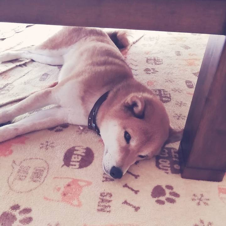 E1b1dc50 b999 428c 8793 3bc240552327 1588304572743