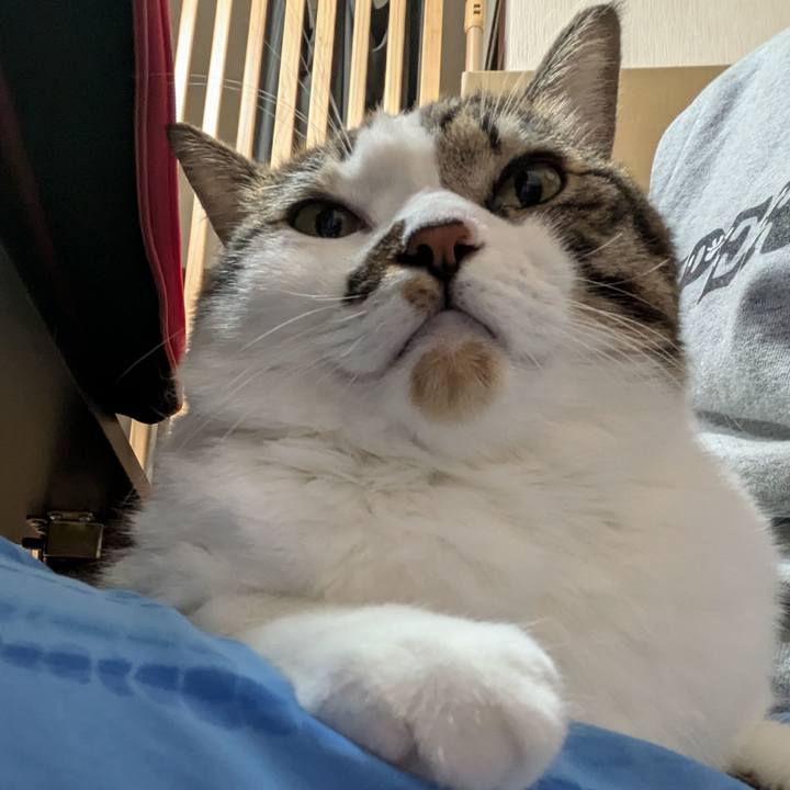 E1b1e42f 58de 4610 9d06 a8f96182527c 1730418656454