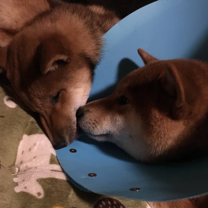 E1b22326 278c 4979 b348 baeecf520577 1512425867144