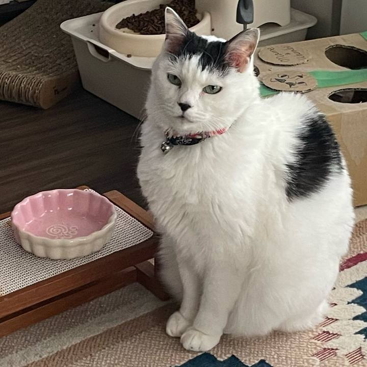 E1b24db9 a70e 4a0b 961d 29c4e62f3c64 1765236655869