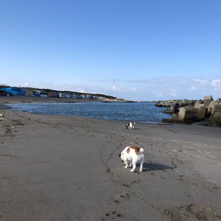 E1b275cd 5d76 4e20 9917 4631b4b86d6a 1586563366897