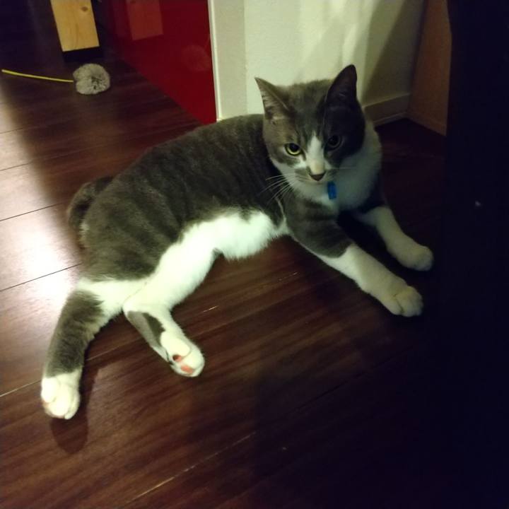 E1b29811 fb8a 4ee2 a95d e890d4186814 1617023415914