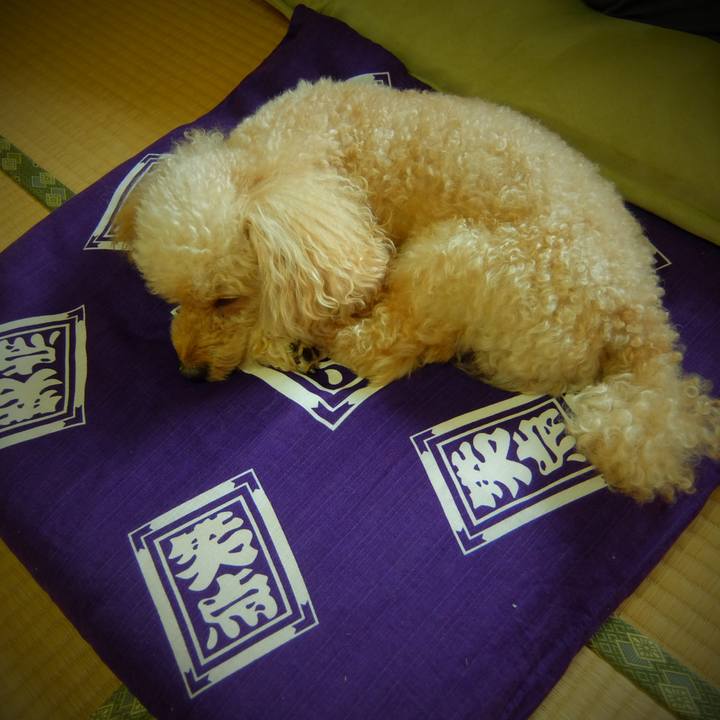 E1b30585 ee37 478b af83 d0a439d46c57 1631856825132