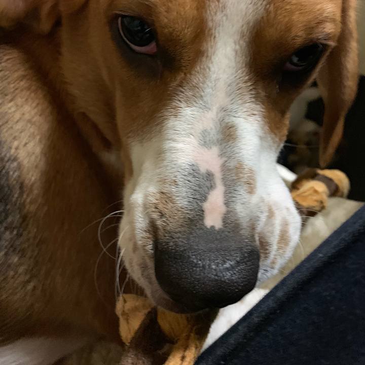 E1b35852 50aa 40f6 a0c9 b15b622996f1 1546245742879